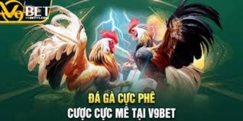 Hỗ Trợ Khách Hàng Chuyên Nghiệp