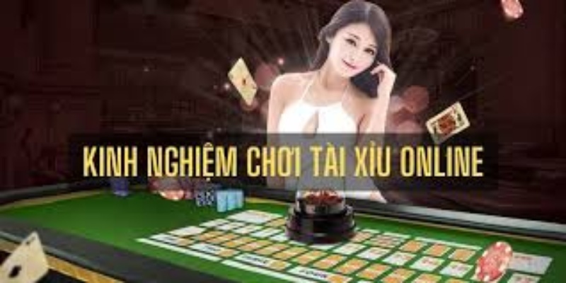 Cộng đồng và hỗ trợ người chơi